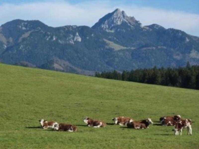 Del Toso Schliersee